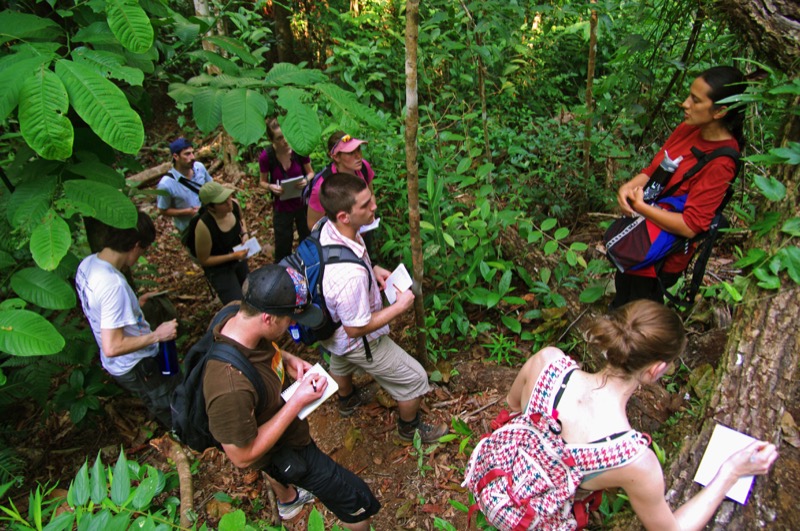 Biology field studies