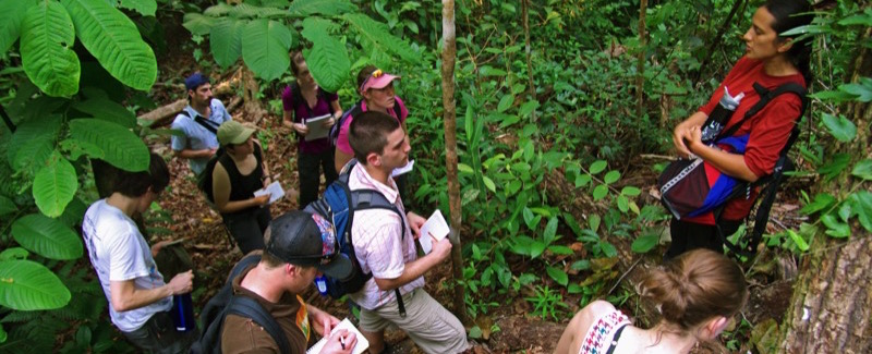 Biology field studies